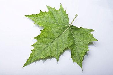 《前线任务3：重制版》6月25日登陆Switch 经典机甲战棋名作